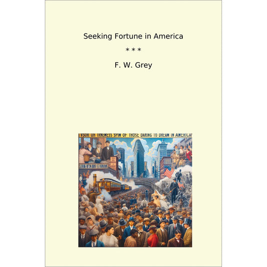 Book cover Seeking Fortune in America